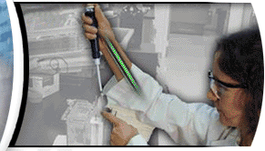 Ergonomics Training for Computer Injuries