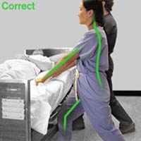 Transferring the Patient
